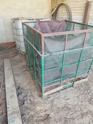 Contenedor aceitunas verdeo