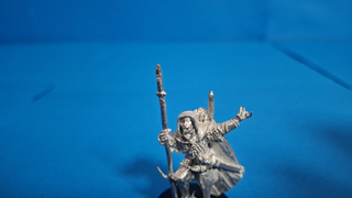 Duinhir Warhammer El Señor de los Anillos MESBG