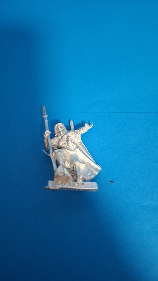 Duinhir Warhammer El Señor de los Anillos MESBG