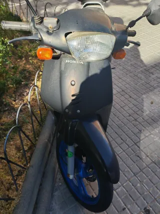 Honda Scoopy