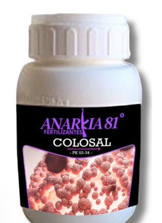 Tabla Anarkia 81 K (Metrop)