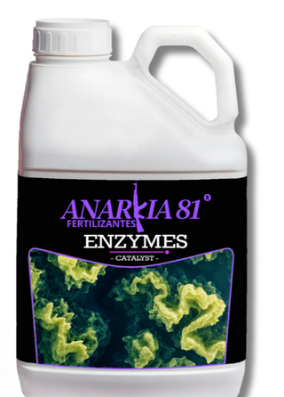 Tabla Anarkia 81 K (Metrop)