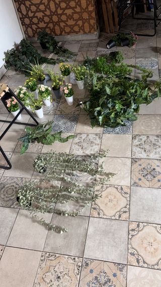 Plantas artificiales y cuadros variados