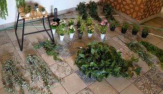 Plantas artificiales y cuadros variados