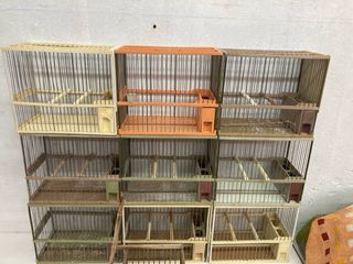 Jaulas Silvestrismo Varias