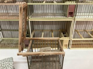Jaulas Silvestrismo Varias