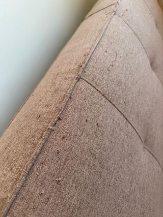 Sofá Cama Burdeos/Rosa