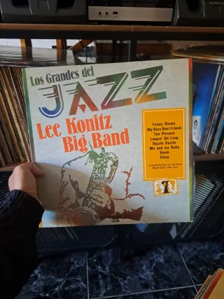 Lote discos Los grandes del Jazz