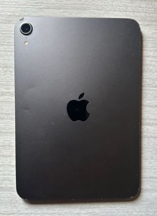 iPad mini 6 Gris Multicolor