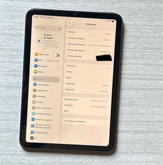 iPad mini 6 Gris Multicolor