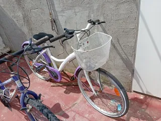 Bicicletas Moradas y Blancas