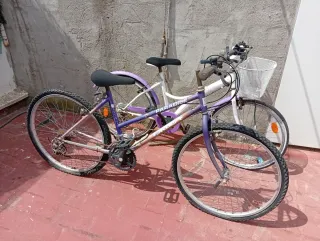 Bicicletas Moradas y Blancas