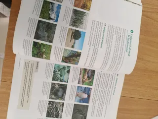 LIBRO BIOLOGIA I GEOLIGIA 1 BATXILLERAT