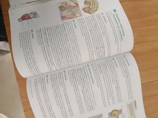 LIBRO BIOLOGIA I GEOLIGIA 1 BATXILLERAT