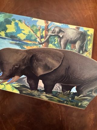 Libro Pop-Up d'Epoca ZOO 1945