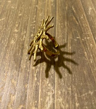 Anillo Surya
