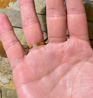 Anillo Surya