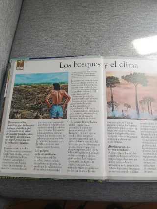 El bosque / the Forest (Imagen Descubierta Del ...