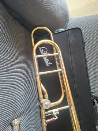 Trombón de vara Sound con funda