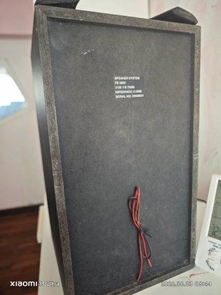 Altavoces Philips Negros