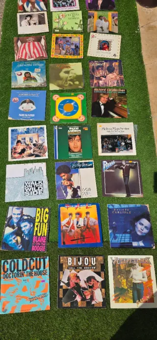 Lote Vinilos Clásicos y Pop
