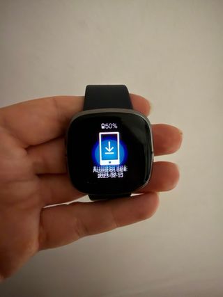 Reloj Fitbit Sense Negro