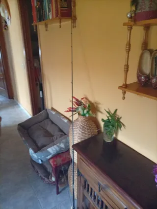 Caña de pescar con carrete