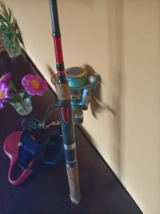 Caña de pescar con carrete