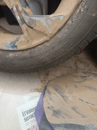 Rueda con llanta