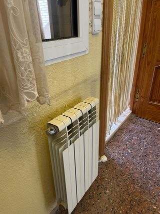 Hidro-estufa de leña con horno y 11 radiadores