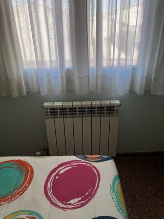 Hidro-estufa de leña con horno y 11 radiadores
