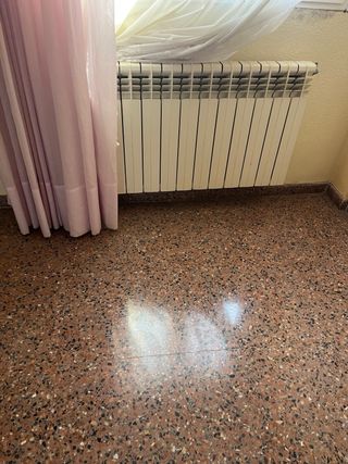 Hidro-estufa de leña con horno y 11 radiadores