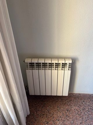 Hidro-estufa de leña con horno y 11 radiadores