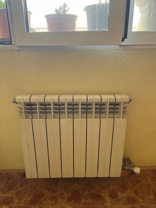 Hidro-estufa de leña con horno y 11 radiadores