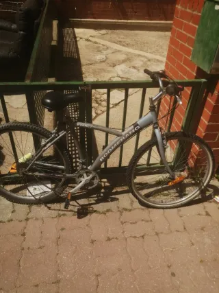 Bicicleta Boomerang Gris