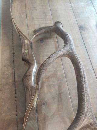 Arco tradicional Predator