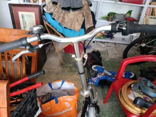 Bicicleta Plegable WST