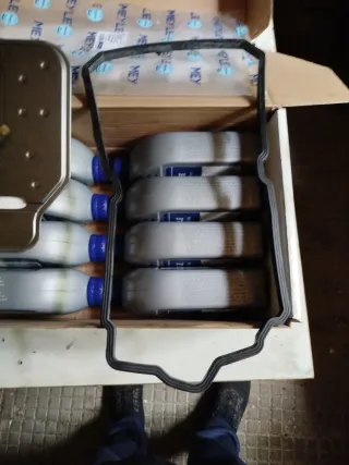 Kit Meyle GLC
