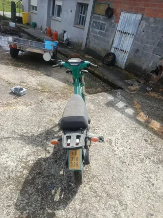 Derbi Variant Verde