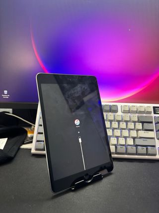 iPad mini 1ª Gen Gris