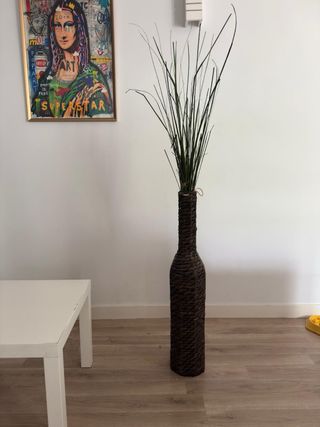 Pack Decoración Colgante Plantas, maceta y redonde