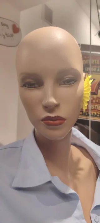 Maniquí 2 y un Busto