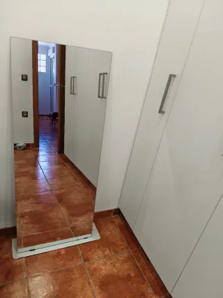 Espejo de cuerpo entero plateado