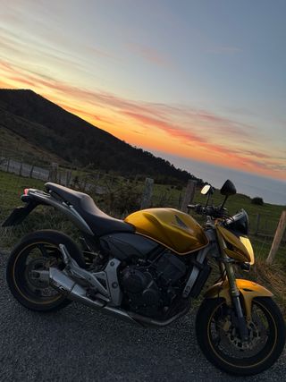 Honda CBF 600F Hornet Naked Dorada