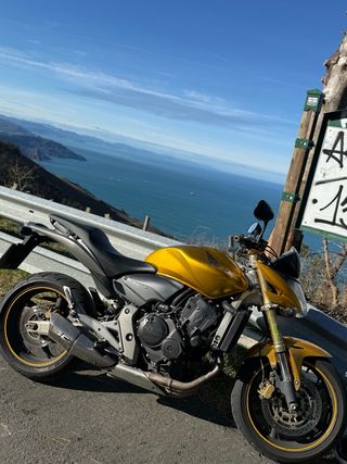 Honda CBF 600F Hornet Naked Dorada