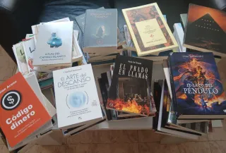 ¡Oportunidad! Lote de 87 libros
