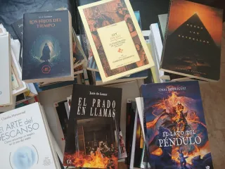 ¡Oportunidad! Lote de 87 libros