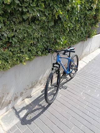 Bicicleta  B-PRO  M100  Unisex