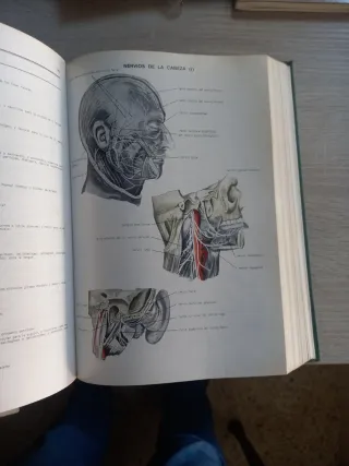 Diccionario terminologico de ciencias medicas