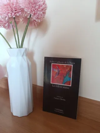 La vida es sueño